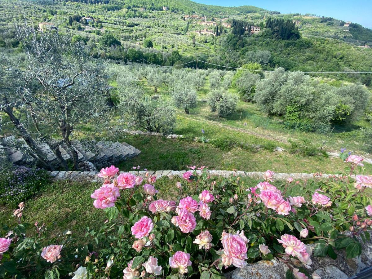 Florence Villa Violetta Bagno a Ripoli Dış mekan fotoğraf