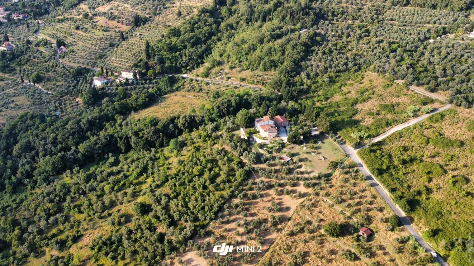 Florence Villa Violetta Bagno a Ripoli Dış mekan fotoğraf